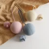 100153-3c7309.webp Baby Pacifier Holder & Soother Storage Box - BPA Free Soft Silicone, Portable, Teat Attachment