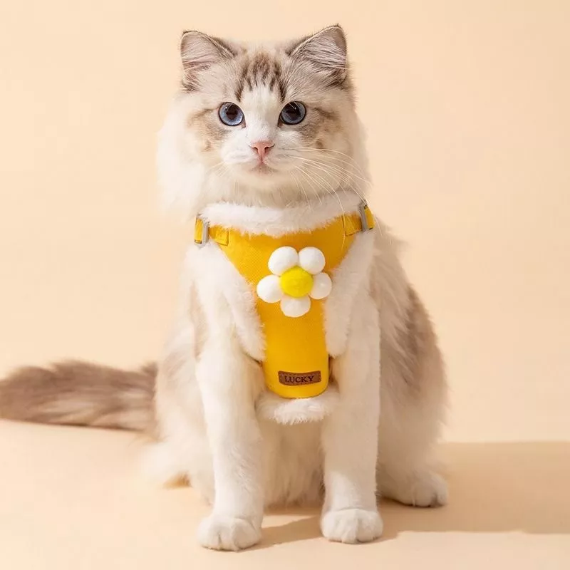 Winter Warm Dog Harness Leash Set