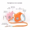 100693-278e8e.webp Retractable Dog Leash with LED Flashlight