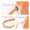 100693-51a0db.webp Retractable Dog Leash with LED Flashlight