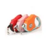 100693-7225e5.webp Retractable Dog Leash with LED Flashlight