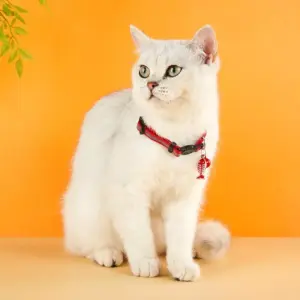 100709-9b3f7f.webp Madden Reflective Cat & Small Dog Collar - Adjustable with Bell, 8 Colors