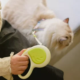 Retractable 3M/5M Dog and Cat Leash - Flexible, Durable, Perfect for Small & Medium Pets