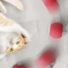 Interactive USB Rechargeable Rolling Ball Toy for Cats