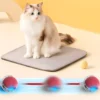 Interactive USB Rechargeable Rolling Ball Toy for Cats