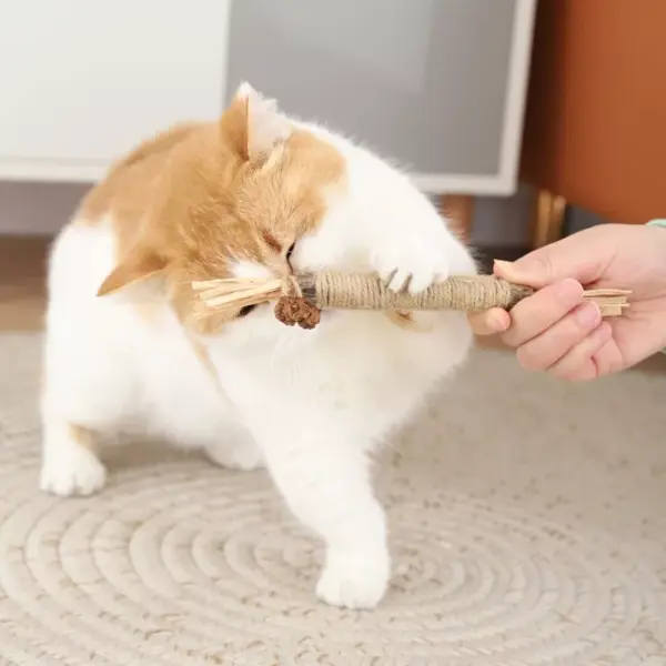 Natural Cat Molar Stick Toy
