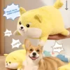 100839-a265aa.webp Interactive Squeaky Dog & Cat Chew Toy
