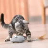 USB Rechargeable Moving Mouse Cat Toy with Feather