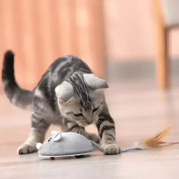 USB Rechargeable Moving Mouse Cat Toy with Feather