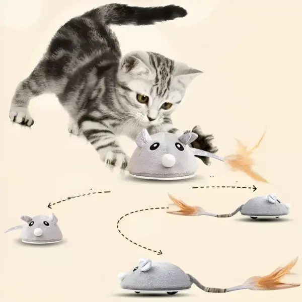 USB Rechargeable Moving Mouse Cat Toy with Feather
