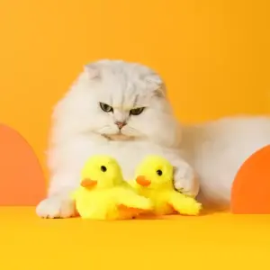 100890-b7ee18.webp Interactive Flapping Duck Cat Toy