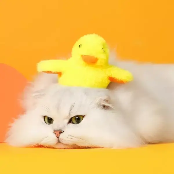 100890-d9415a.webp Interactive Flapping Duck Cat Toy