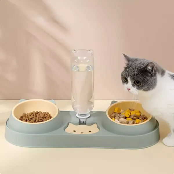 101019-571418.webp Double Dog & Cat Bowls with Water Dispenser