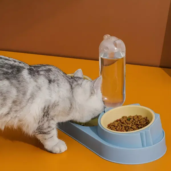 101019-7cf378.webp Double Dog & Cat Bowls with Water Dispenser