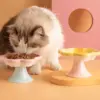 101069-65eedb.webp Ceramic Cat Bowl