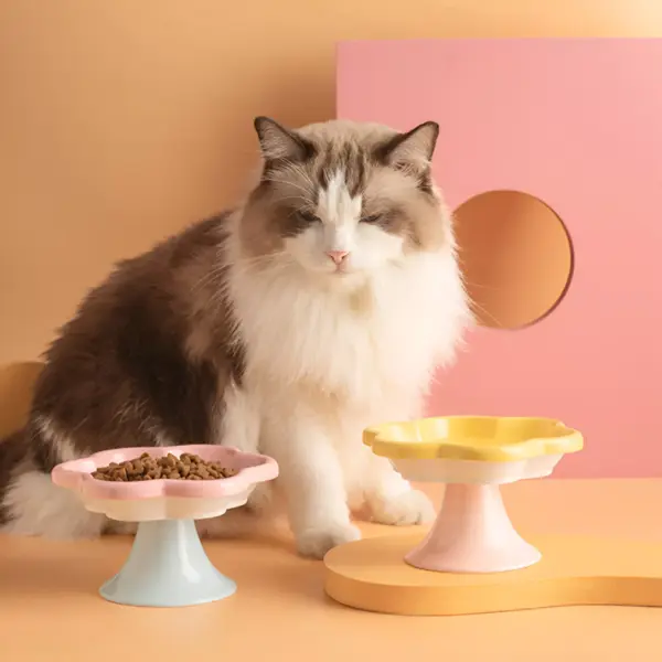 101069-8183da.webp Ceramic Cat Bowl