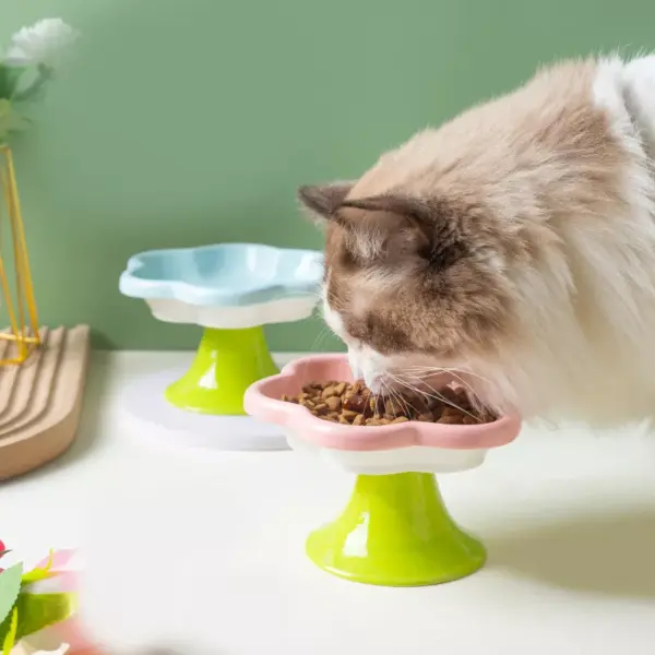 101069-d4bf66.webp Ceramic Cat Bowl