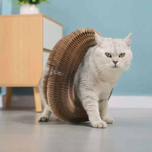 Interactive Cat Scratching Board and Toy