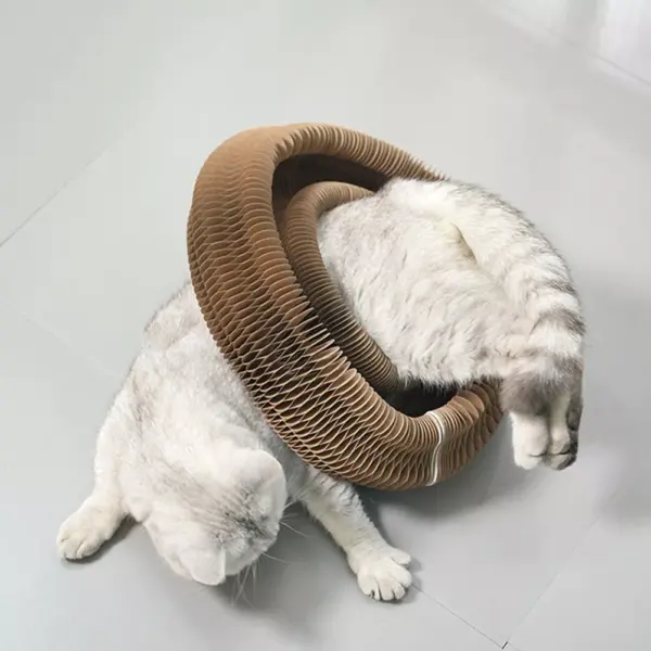 Interactive Cat Scratching Board and Toy
