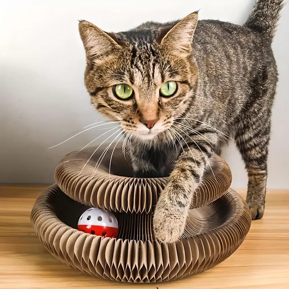 95570-47af3a.webp Magic Foldable Cat Scratch Board with Bell
