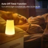 95572-812f49.webp 13-Color Changing Night Light with RGB Remote Control