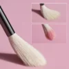 Professional Soft Goat Hair Highlight Brush Set