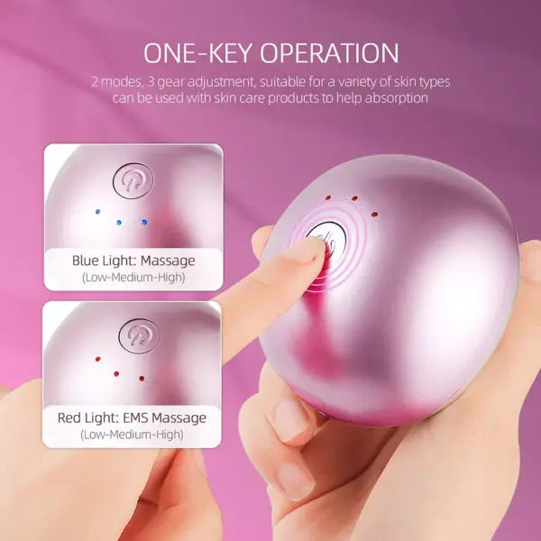EMS 3D Face Lift Slimming Roller
