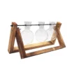 98115-23db37.webp Rustic Wooden Frame Hydroponic Glass Vase