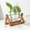 98115-c24292.webp Rustic Wooden Frame Hydroponic Glass Vase