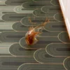106785-d184ab.webp Comfort & Style Kitchen Mat