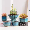 107461-33d53c.webp Elegant Glazed Ceramic Pots for Succulents and Small Plants