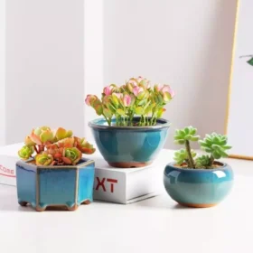 107461-b9aa6a.webp Elegant Glazed Ceramic Pots for Succulents and Small Plants