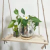 Bohemian Chic Self-Watering Disco Ball Planter