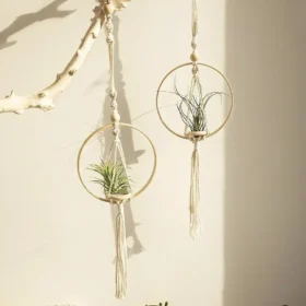107508-2ff86d.webp Boho Chic Macrame Air Plant Hanger
