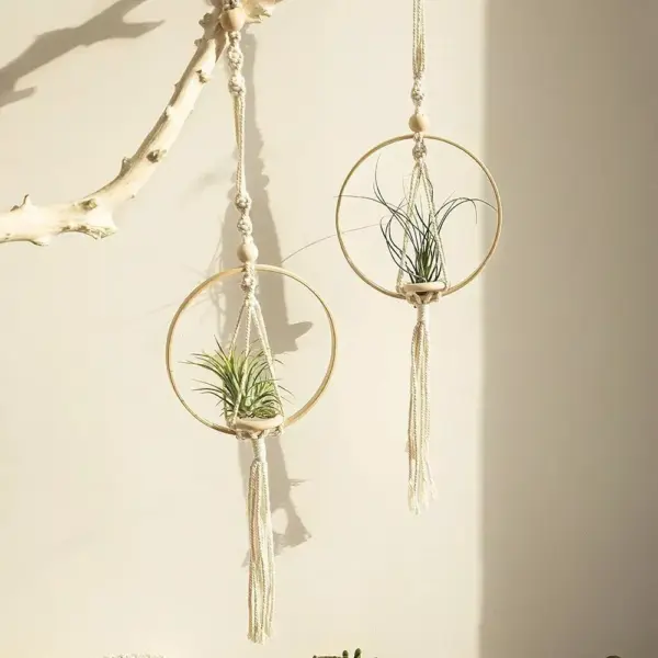 107508-2ff86d.webp Boho Chic Macrame Air Plant Hanger