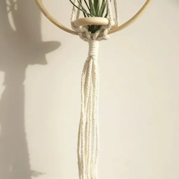 107508-590db7.webp Boho Chic Macrame Air Plant Hanger
