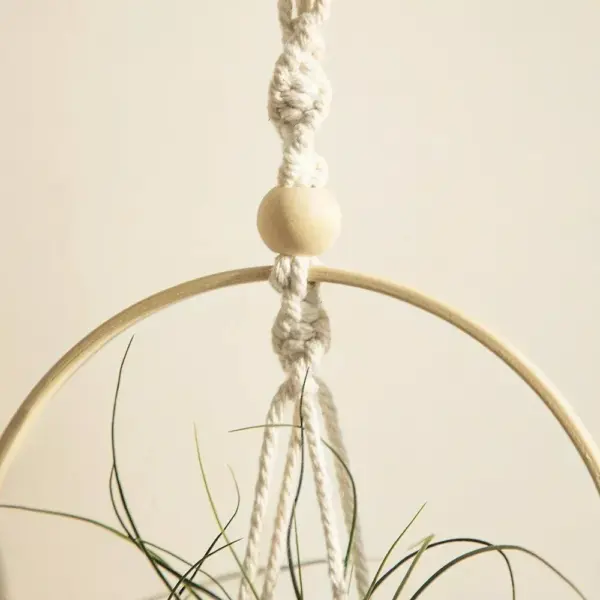 107508-70cd09.webp Boho Chic Macrame Air Plant Hanger