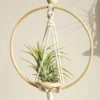 107508-f016bf.webp Boho Chic Macrame Air Plant Hanger