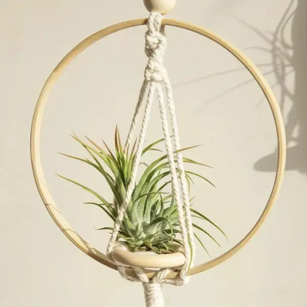 107508-f016bf.webp Boho Chic Macrame Air Plant Hanger