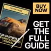 Top Cars Built for Challenging Terrain – Practical Guide to the best cars for bad road conditions | Smart Buying & Setup Guide