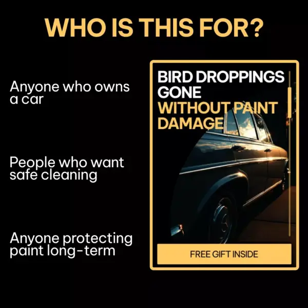 Bird Droppings Gone Without Paint Damage – A Practical Guide on how to remove bird droppings from car paint Safely & Easily