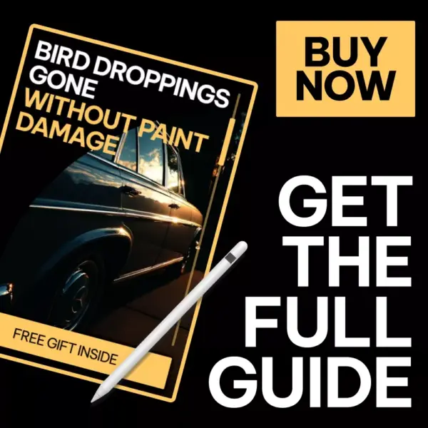 Bird Droppings Gone Without Paint Damage – A Practical Guide on how to remove bird droppings from car paint Safely & Easily
