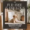 113431-6c25c8.webp Fur-Free & Fabulous: Mastering Pet Hair Removal at Home | Ultimate Guide on How to Remove Pet Hair from Furniture | Digital Download eBook for Pet Owners