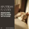 113469-a17fb2.webp Spotless & Cozy: Removing Pet Stains with Ease | Ultimate Pet Stain Removal Guide for Furniture | Best Way to Remove Pet Stains from Furniture Digital Download