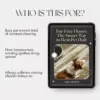 113484-d902e8.webp Fur-Free Floors: The Smart Way to Beat Pet Hair | Digital Cleaning Guide for Pet Owners | Best Way to Keep Floors Free from Pet Hair with Smart, AI-Driven Tips and Daily Habits