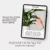 Picking Plants Perfect for Your Home’s Lighting | AI Plant Identification Checklist | How to Use AI to Identify Plants for Your Home's Lighting | Indoor Plant Matching Guide for Beginners